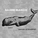 Baleine Blanche