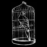 Les Musiques d'Ascenseur