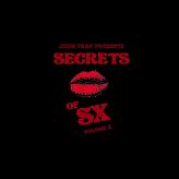 SECRETS OF SX 4
