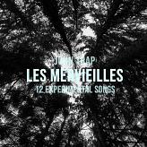 LES MERVIEILLES (12 EXPERIMENTAL SONGS)