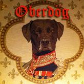 Oberdög